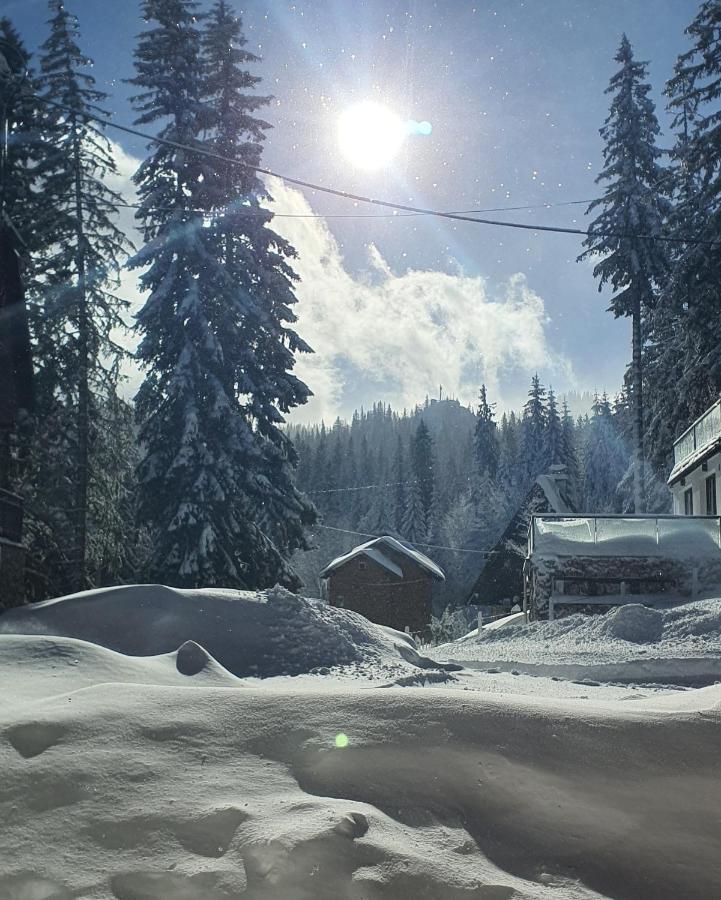 Jahorina Villa In ภายนอก รูปภาพ